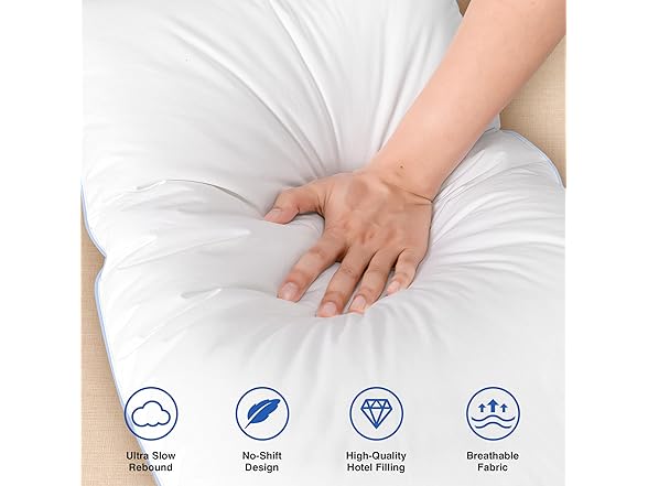 Zibroges Premium Goose Feather Pillows