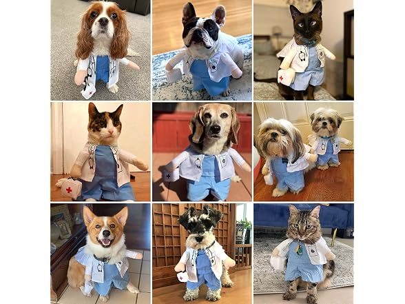 Dog Cat Doctor Costume, Funny Pet Doctor Hal