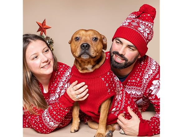 Blueberry Pet AdultSnowflake Ugly Christmas Sweater