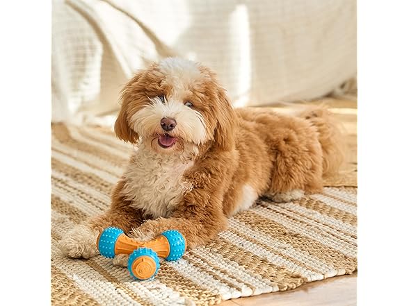 SPOT Bam-Bones PLUS Gigglers Dog Toy