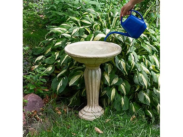 Sunnydaze 20.25” H Concrete Bird Bath Antique White