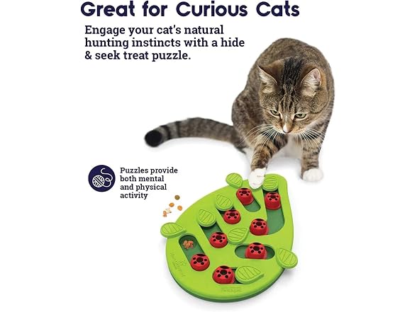 RXJPASD Cat Treat Puzzle and Scratch Board Combo Toy