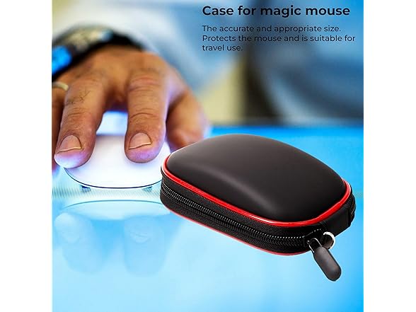 SoleKing Hard Storage Carrying Case Bag