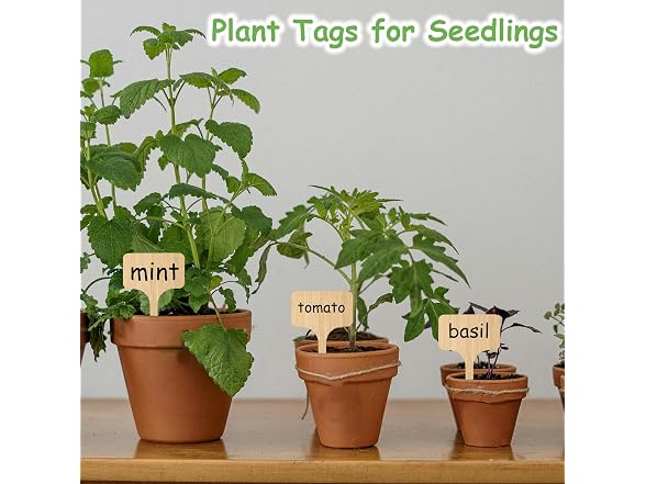 CJFocus GAR-07 (2 Pack) 75Pcs Bamboo Plant Labels