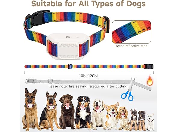 NoMoreBark Bark Collar