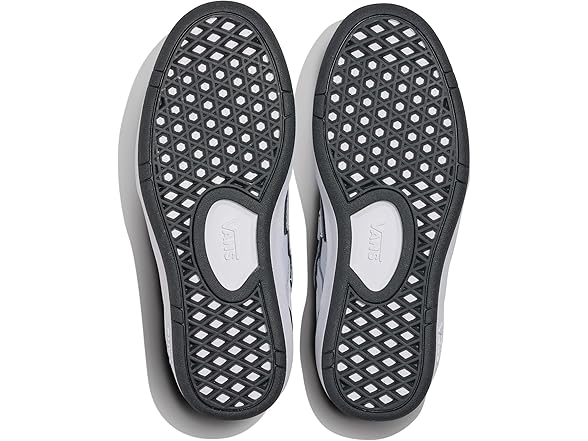 Vans Unisex Lowland CC V Shoe