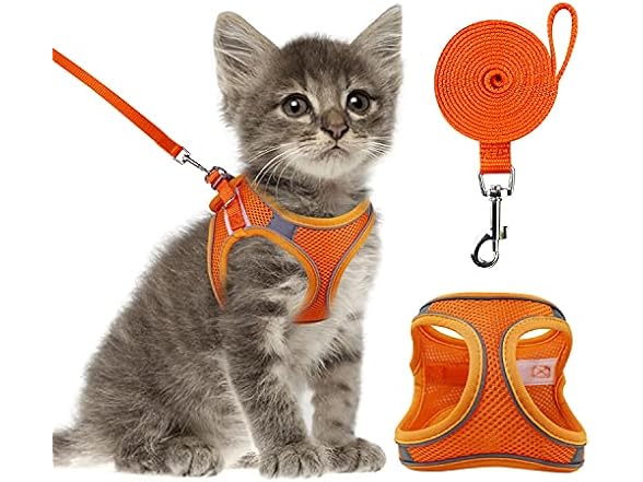Cat Harness and Leash- Reflective Mesh Cat V