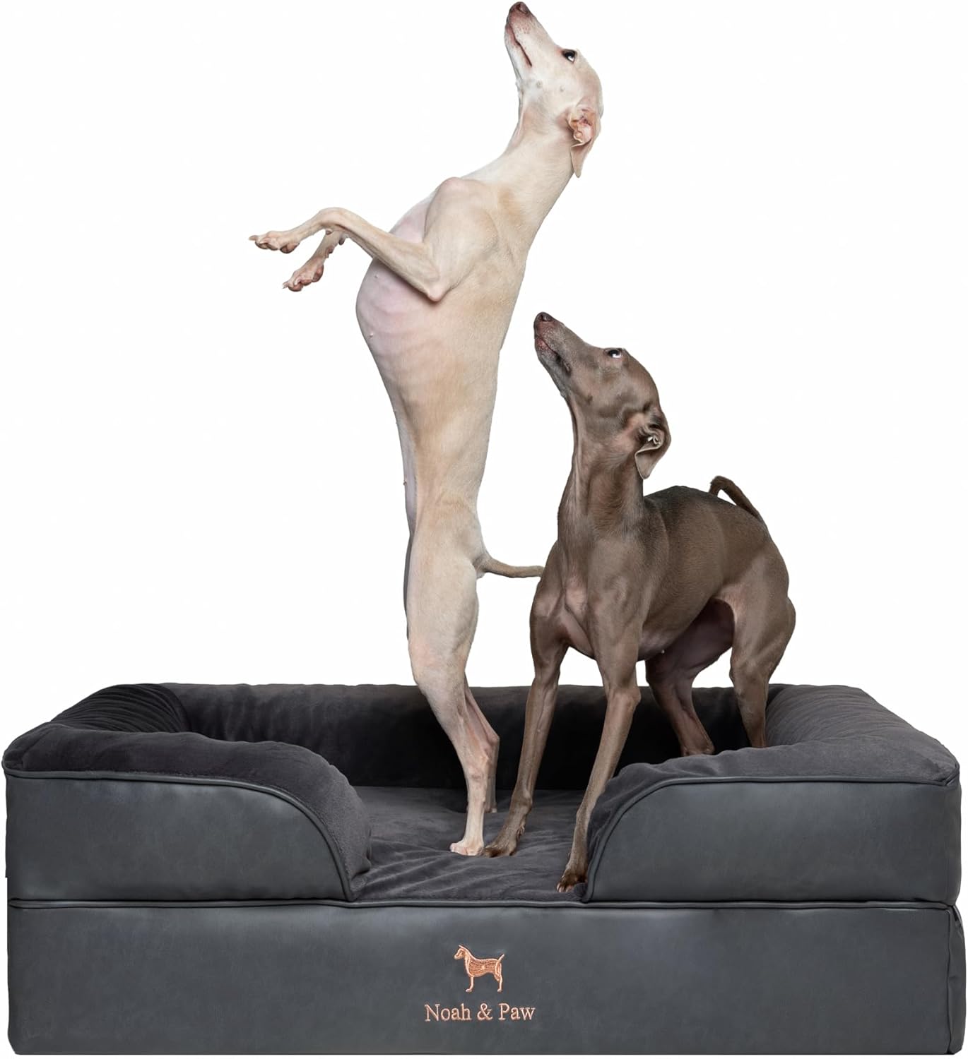 NOAH & PAW Dog/Cat Sofa- Large - Gallery 16
