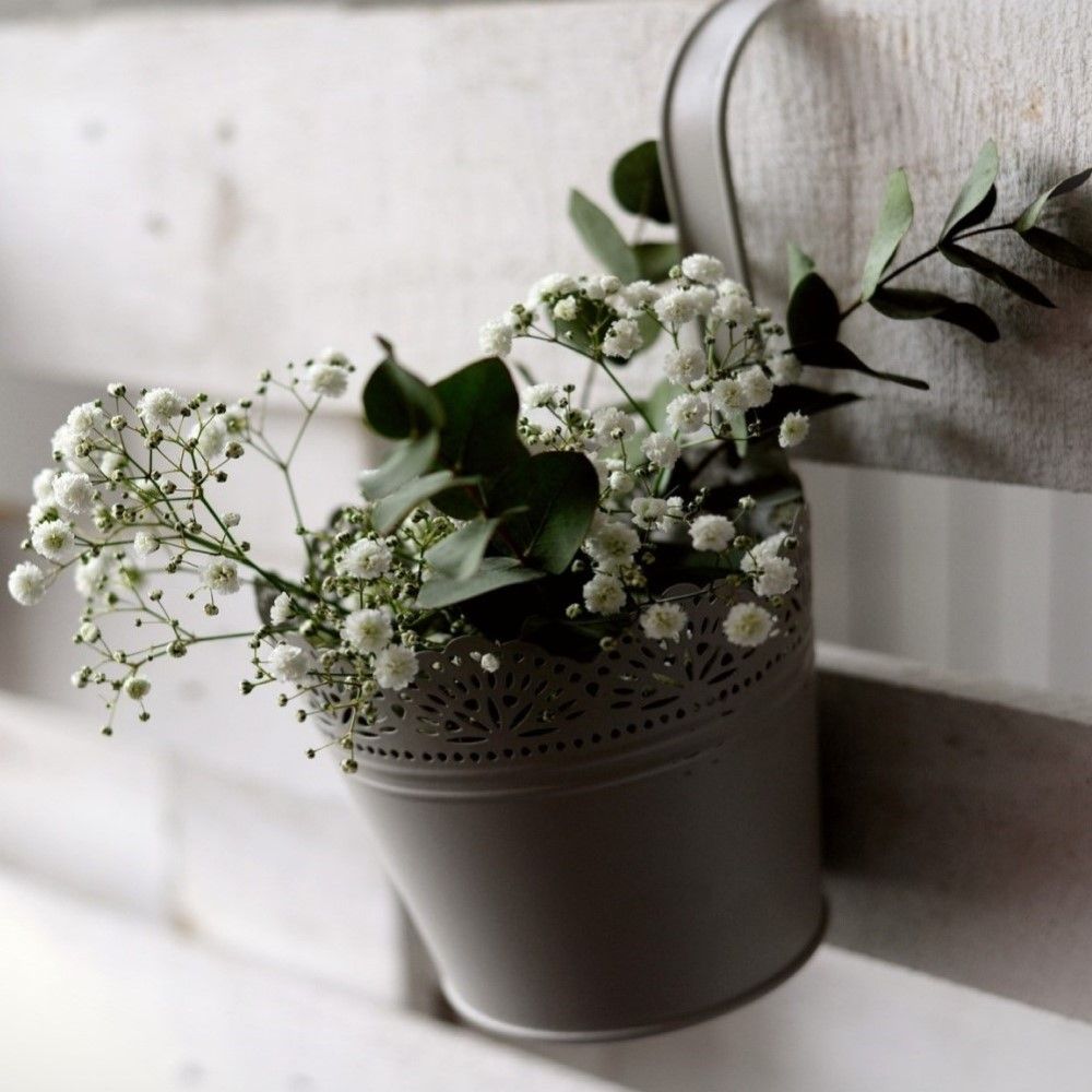 Baby's Breath - 24 Bulbs - Gallery 8