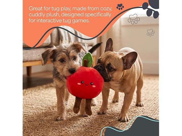 Bow Wow Pet 2 Pack Plush Dog Toy with Squeaker