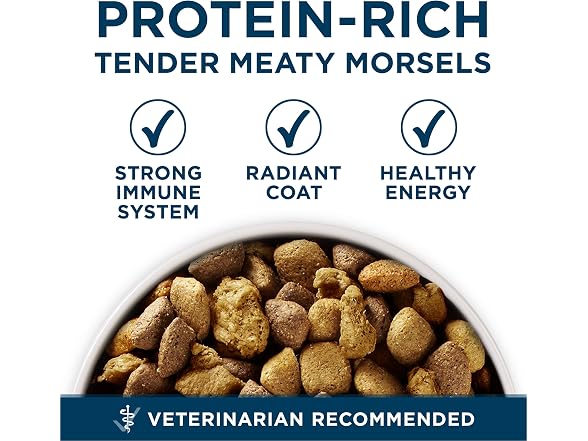 Purina One +Plus Dry Dog Food for Large Dogs