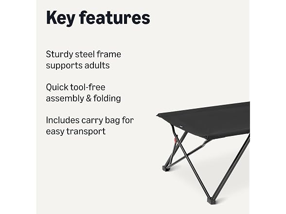 Amazon Basics Folding Camping Cot, Twin