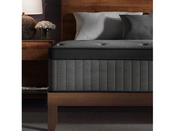 ZLNDR 10 Inch Queen Mattress