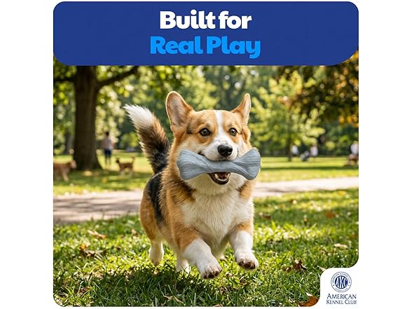 American Kennel Club Training Dog Chew Toy, Large PP Bone