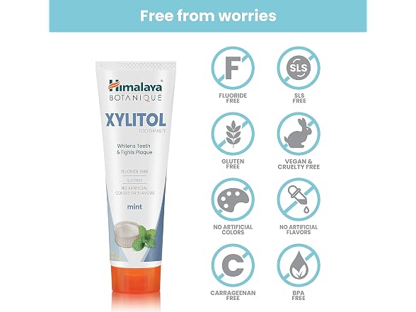Himalaya Botanique Xylitol Toothpaste Mint 4oz