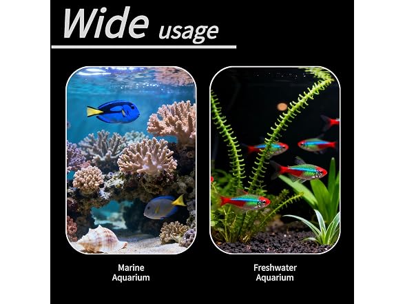 Acrylic Acclimation Box for Saltwater Fish
