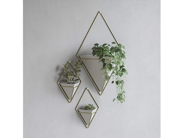 Umbra Trigg Hanging Planter Wall Decor