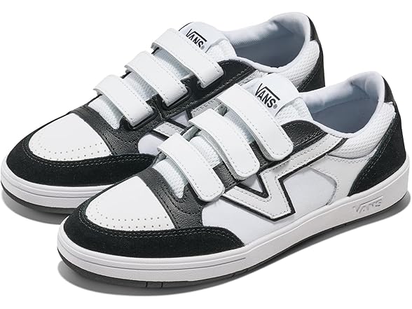 Vans Unisex Lowland CC V Shoe