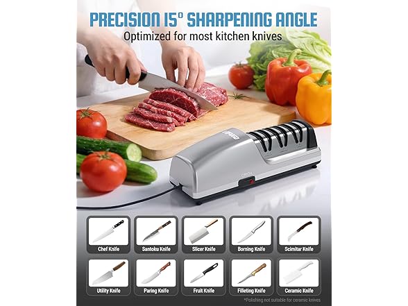 Electric Knife Sharpener