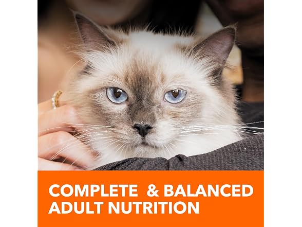 IAMS Dry Food Proactive Health Indoor Weight and H