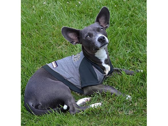 Pets First NFL Dog Hoodie
