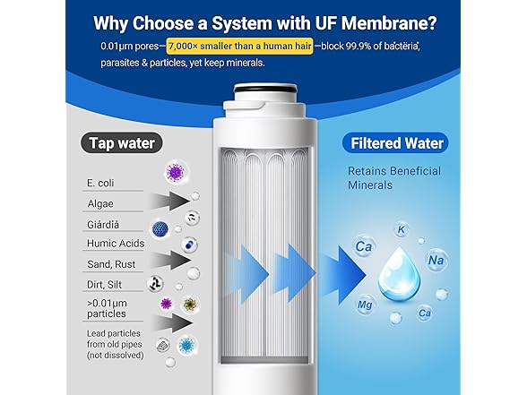 Under Sink Water Filter System