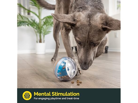 Pet Zone IQ Treat Ball Dog Treat Dispenser Toy