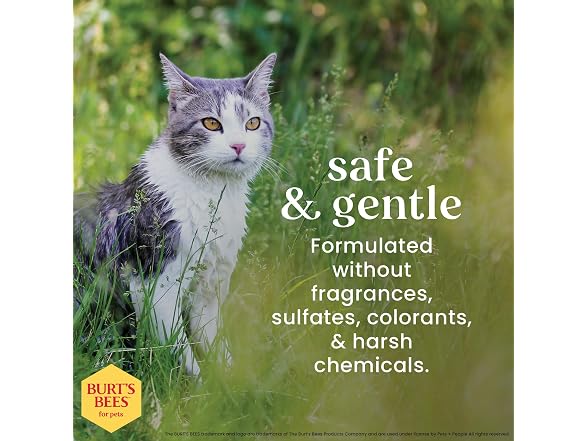 Burt's Bees for Pets Waterless Cat Shampoo, 6-Pack