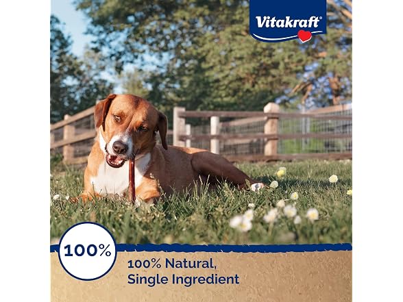 Vitakraft Dog Bully Sticks, 12 Inch, 5 Count
