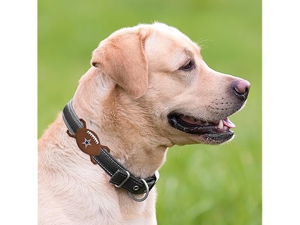 NFL Apple AIR TAG Holder for Dogs