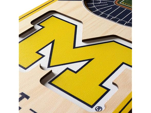 YouTheFan Unisex NCAA Michigan Wolverines Banner