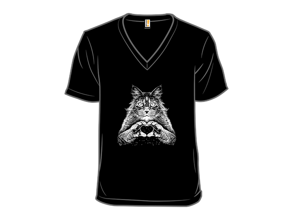 Maine Coon Affection