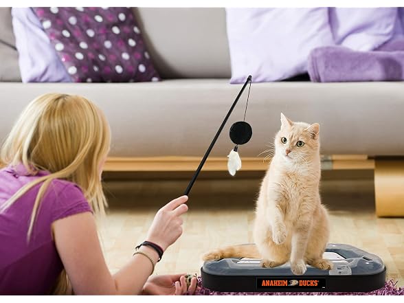 Pets First Cat Scratching Toy NHL Anaheim Duc