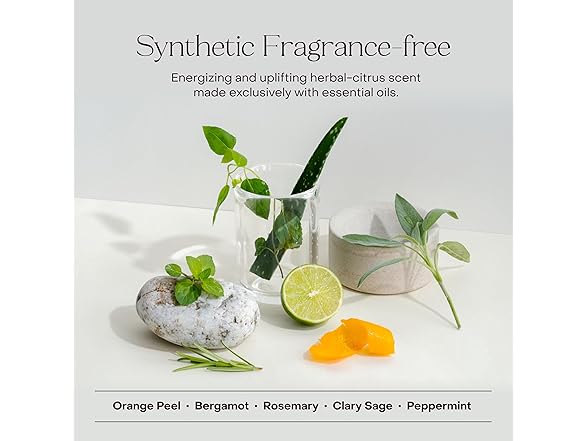 Everist The Shampoo Concentrate, 3.4 Oz