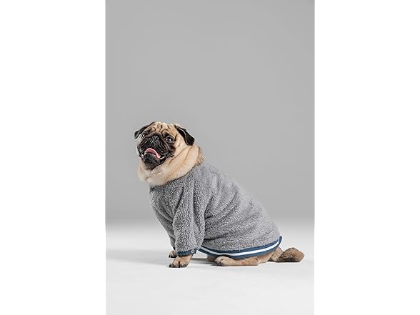 Pooch Mode Reversible Varsity Jacket