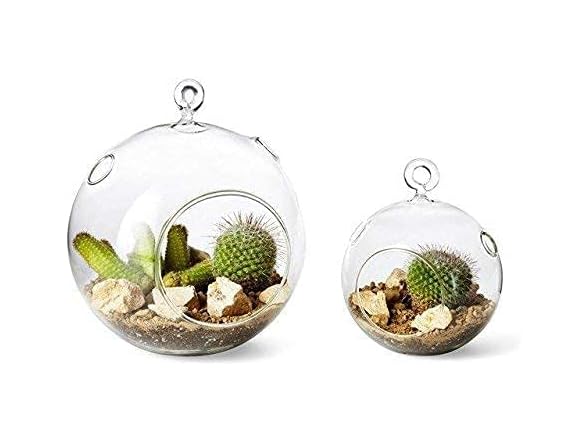 2 Clear Globe Terrarium Plastic 4.5" x 4.5"
