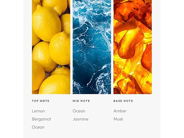 Aroma360 - Escapade Fragrance Oil Scent