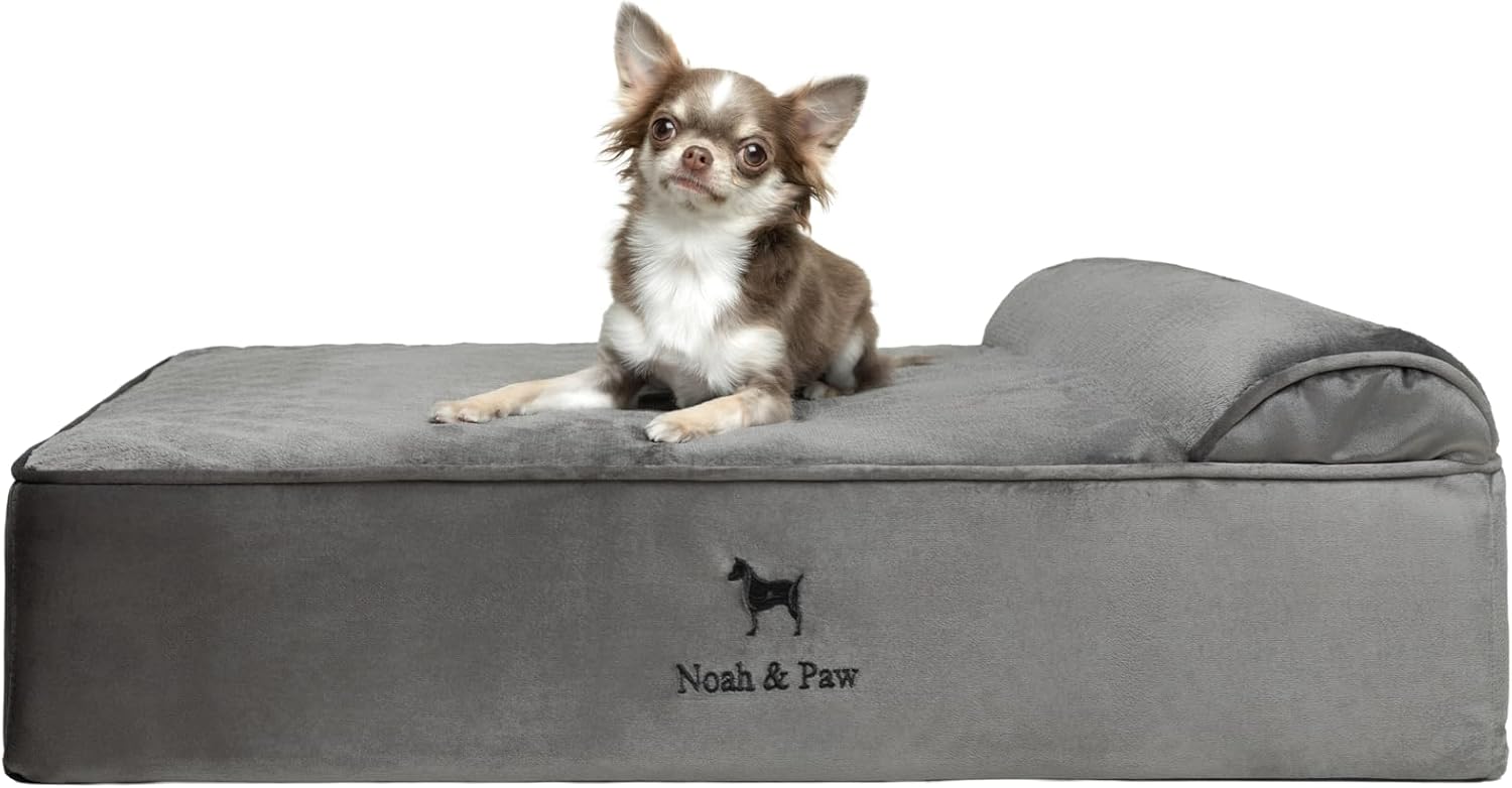 NOAH & PAW Orthopedic Dog Beds- Medium - Gallery 10