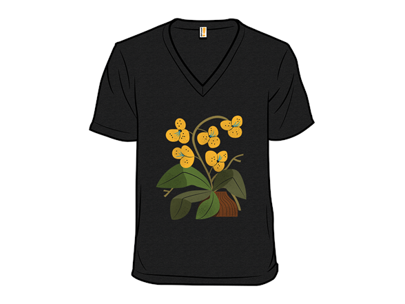 Yellow Orchid