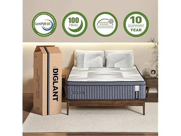 DIGLANT Euro Top Hybrid Queen Mattress
