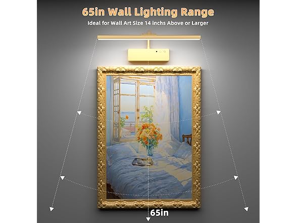 Lightbiz Picture Light for Wall