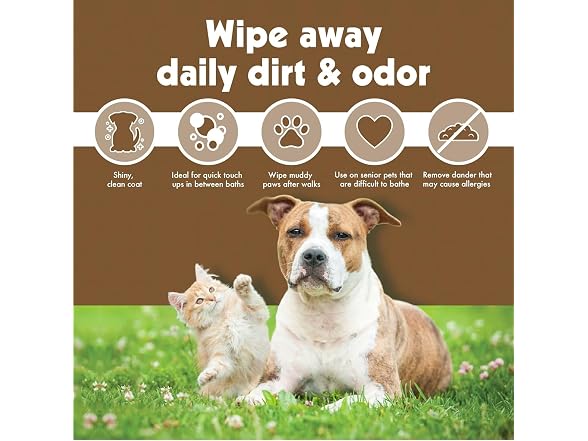 Petkin Pet Wipes for Dogs and Cats, Oatmeal, 100 Wipes