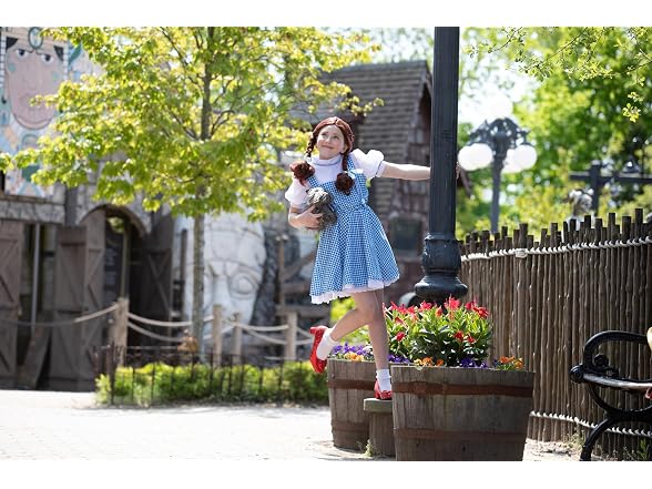 Rubies The Wizard of Oz: Dorothy Costume for Kids, Medium