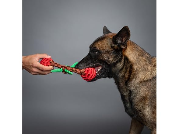 NOAH & PAW Luxury Dog Toy, Cherry