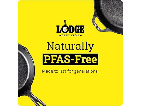 Lodge Seasoned Cast Iron Pizza Pan 15 Inch
