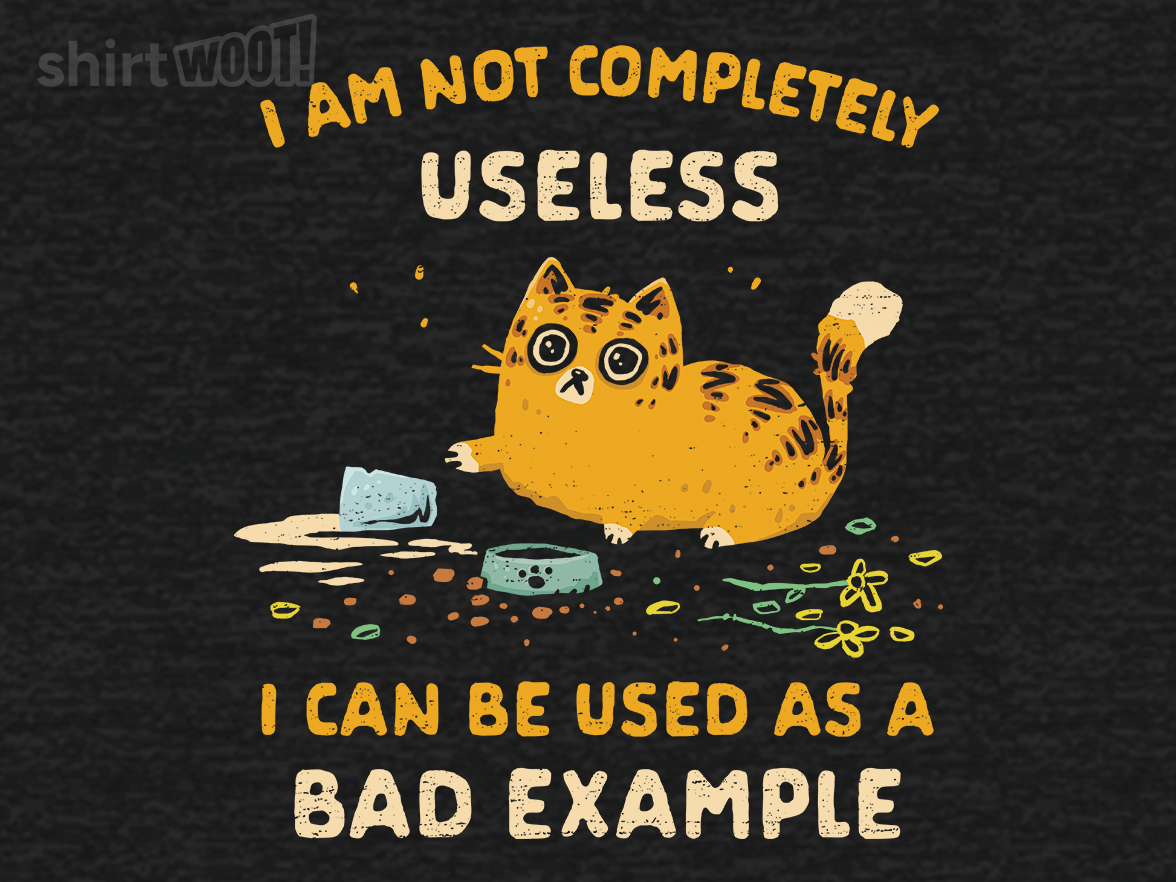 Not Completely Useless - Gallery 9