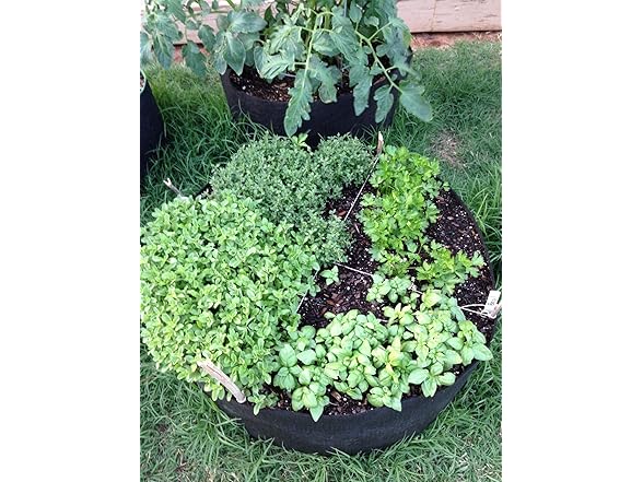 Smart Pots Big Bag Bed Fabric Raised Bed, Black