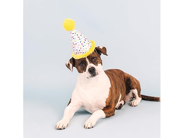 Fringe Studio Plush Dog Toy, Time to Celebrate