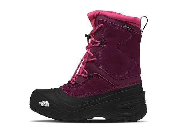 Boysenberry/Tnf Black