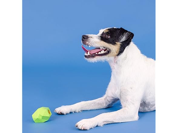 Fringe "You're Adora-Ball Rubber Dog Toy